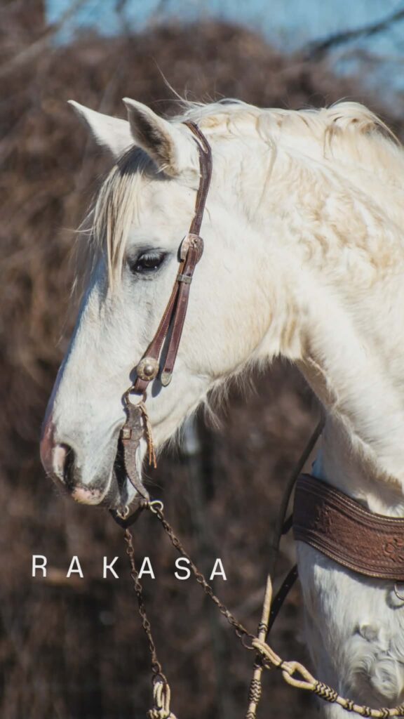 RAKASA