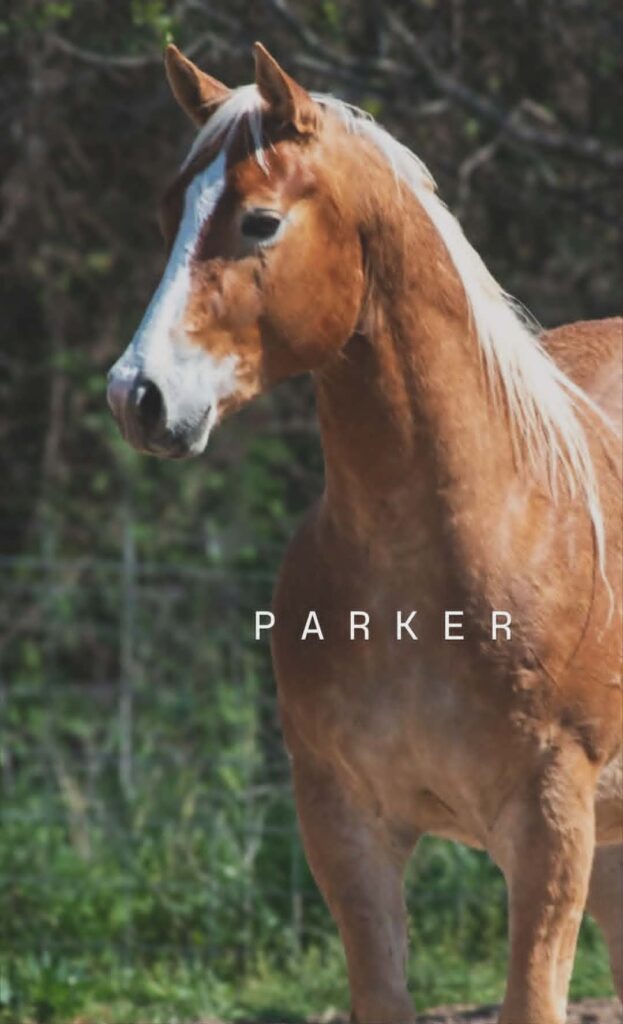 PARKER